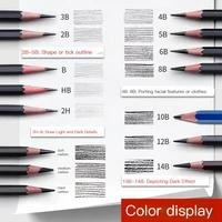 Professional Wooden Sketch Pencils Highlighter HB 2H 12B 10B 8B 7B 6B 5B 4B 3B 2B Graphite Art Manual Draw Pen School Stationery 2