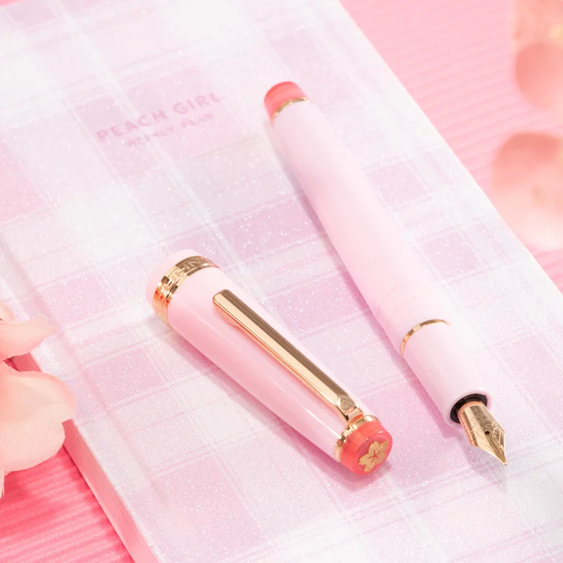 Amazon.com : JINHAO 82 Fountain Pen with Gold Clip (F Nib