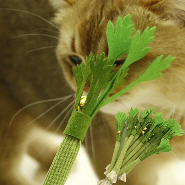 Cat Chew Toy Bite Resistant Interactive Kitten Teeth Cleaning Toy Cat Teaser Training Sound Toy Pet Supplies Cat Chew Toy Bite Resistant Interactive Kitten Teeth Cleaning Toy Cat Teaser Training Sound Toy Pet Supplies