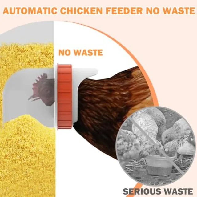Automatic Chicken Feeder No Waste 25 Pounds Metal Poultry Feeder with Latch and Handle for Chickens Bantams Pheasants Poultry C