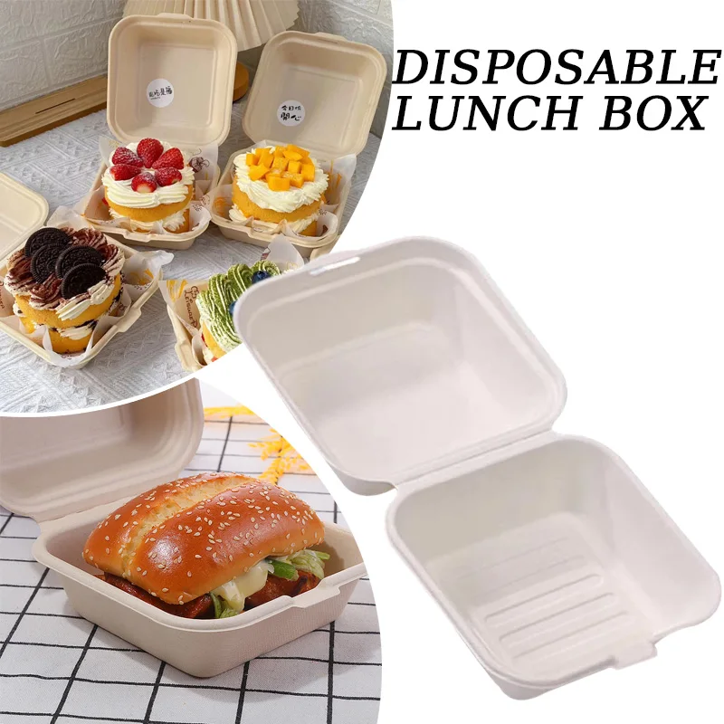 Disposable Bento Takeaway Container Cake and Cupcake Box Heatable Biodegradable Food Container Dessert Box