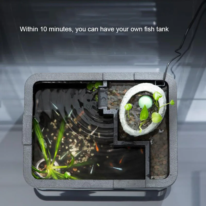 Desktop fish tank with fountain