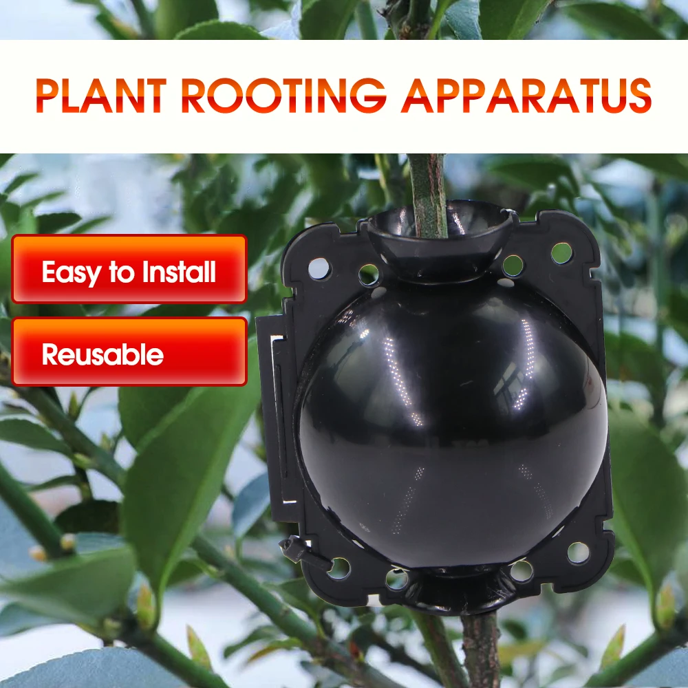 Plant Rooting Ball 5PCS for Garden Tree Cuttage Grafting