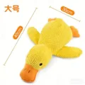Large duck