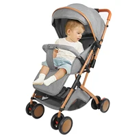 Poussette bébé, chariot avec moustiquaire, jusqu'à 20 kg, avec panier de rangement, 4 roues, poussette pliable, poussette portable pour animaux de compagnie 3