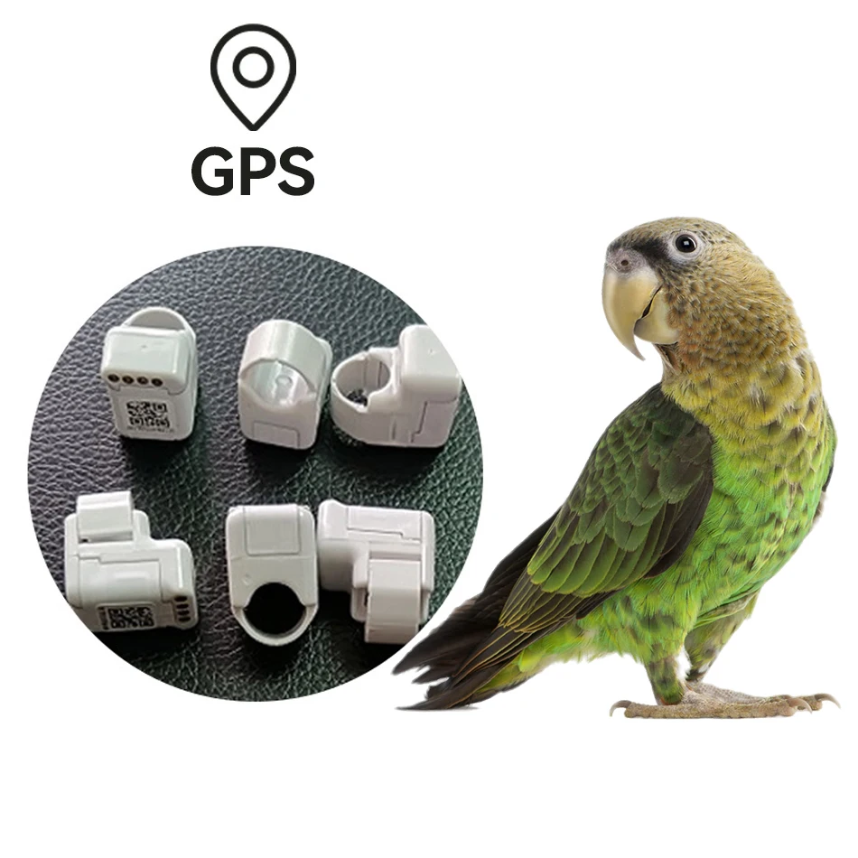 GPSBirdTrackerGpsPigeonTrackingFootRingForPigeonBirdOutdoor