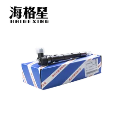 0445110186 0445110183 0445110101 0445110449 0445110274 For HaiGeXing Bosch Common Rail Injector