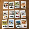 24pcs Montessori Toys Animal Match Cards Matching Game Montessori Preschool Educational Language Learning Poultry Models Kid Toy 1