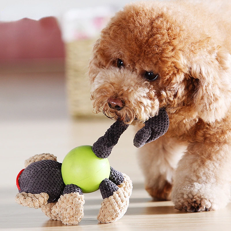 

Pet toys, plush rubber, chewy and gritty cartoon animal interactive dolls, squeaking dog toys