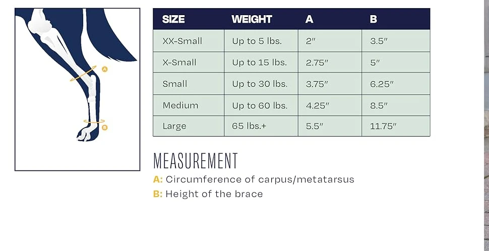 balto splint brace sizing