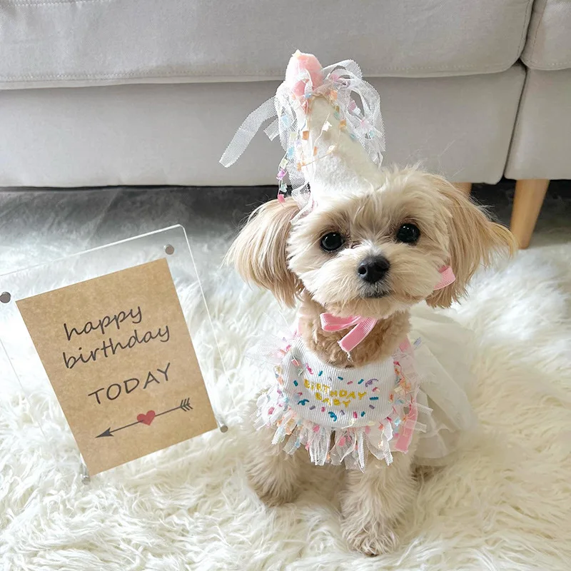 Tanio INS koreański pies urodziny śliniaczek