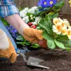 3PC plastic handles for garden hand tools 6