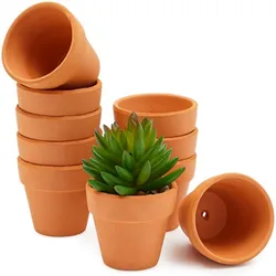 Set of 16 Terra Cotta Mini Planter Pots with Drainage - Ideal for Succulents, Cacti, and Crafts