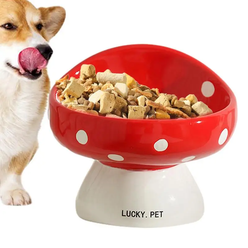 

Миска керамическая для кошек, 200 мл, в форме гриба