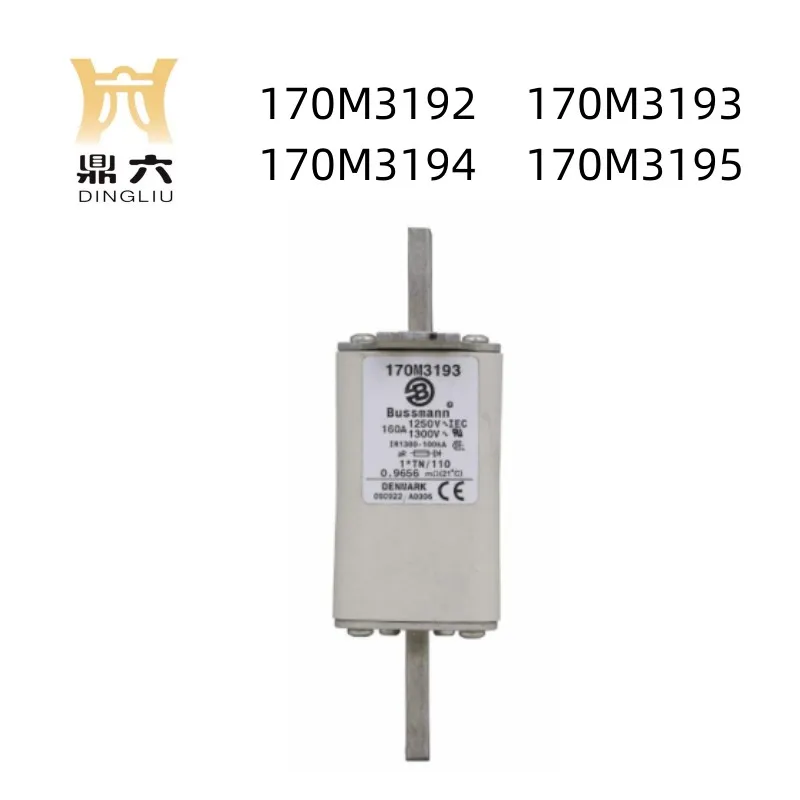 

170M3192 170M3193 170M3194 170M3195 New fast fuse