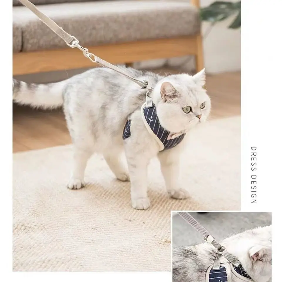 Corde De Plomb Pour Animaux De Compagnie Avec Poitrine Et Dos Triangle