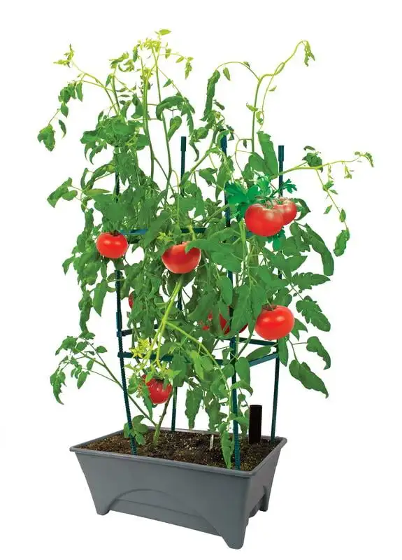 

Start Pickin' Raised Bed Grow Box – Self Watering and Improved Aeration – Starter Box or Small Herb Garden