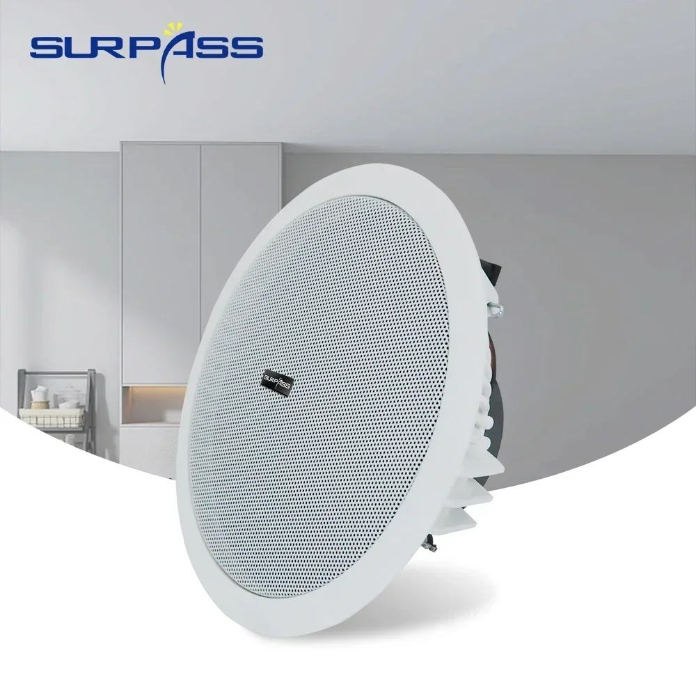 Bluetooth Speaker 20W 6inch active speaker system built-in Ceiling Digital Class D Amplifier for bathrooms hotel