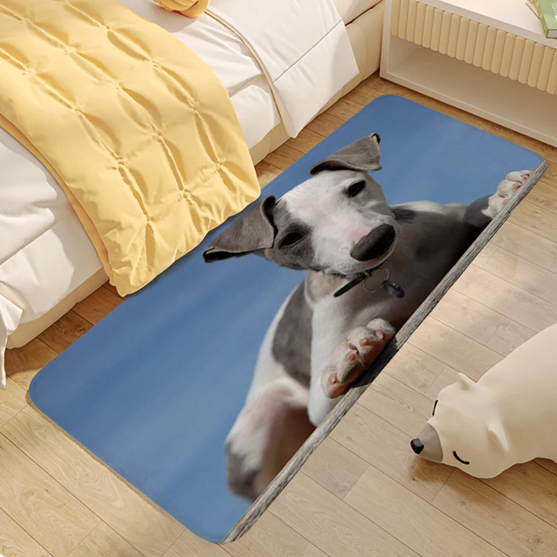 Tappeto Per Camera Da Letto Whippet Dog Foot Mat Custom Living Room Veranda Tappeto Da Bagno Moderna Decorazione Della Casa Zerbino D'Ingresso All'Ape