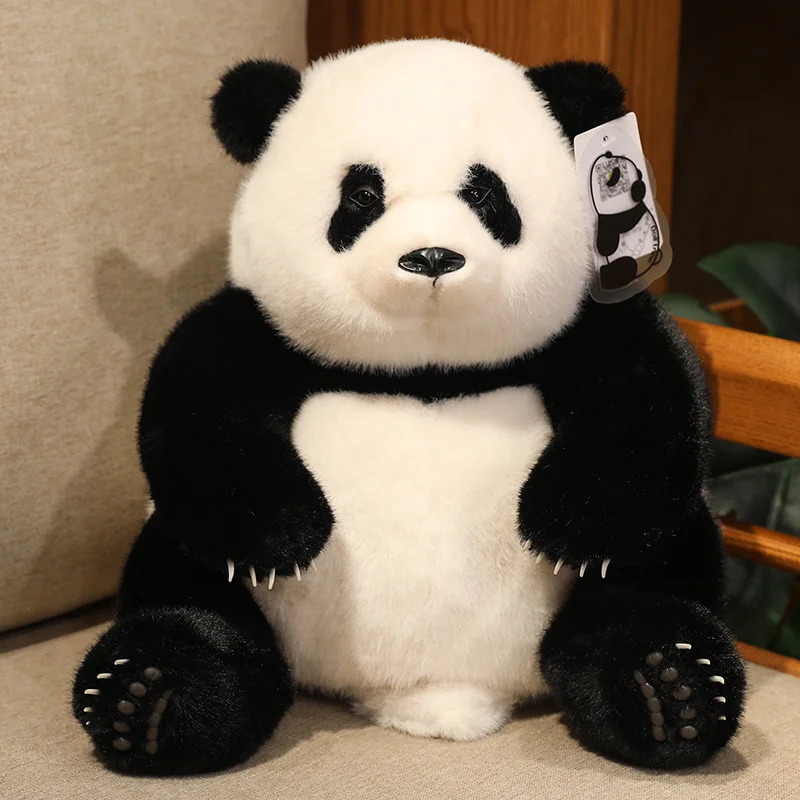 パンダのぬいぐるみ 中型 Amazon.co.jp: パンダぬいぐるみPanda面白い変身ぬいぐるみ
