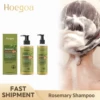 500/200/100ml Rosemary Hair Shampoo Strengthen Hair Root Prevent Loss Cleansing Scalp Dandruff Deep Nourish Hair Growth Shampoo