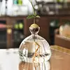 Avocado Seed Starters Vase Avocado Vase for Growing Avocado Seed Growing Kit Plant Glass with Stickers Gift for Gardening Lovers 4