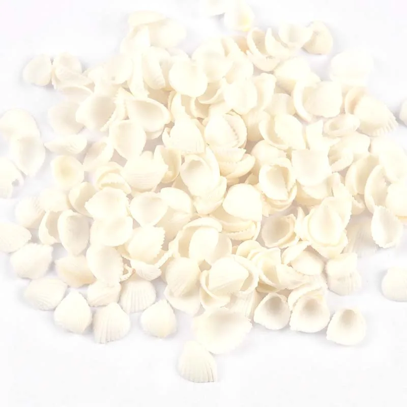 Mini Natural Sector Shells 100pcs for Tank Aquarium Glass Bottle Beach Decor DIY Aquarium Embellishments Crafts Supplies natural shell ornaments