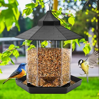 Hangable Pigeon & Parrot Wild Bird Feeder 1