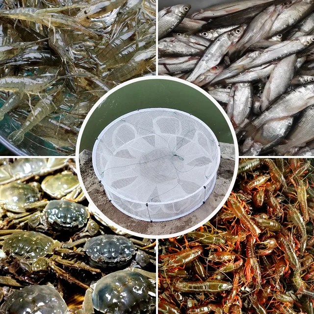 Automatic Folded Fishing Net,Crab Net Fish Net,Casting Cage Crab Net,Foldable Fishing Mesh Trap for,Minnows,Lobster,Crawfish etc 5