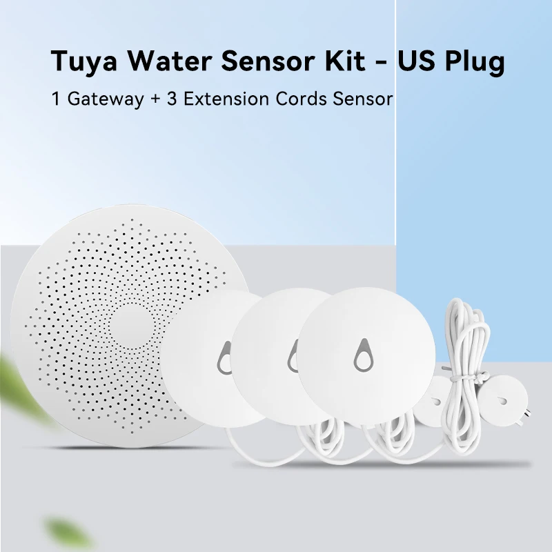 Tuya US Plug 2