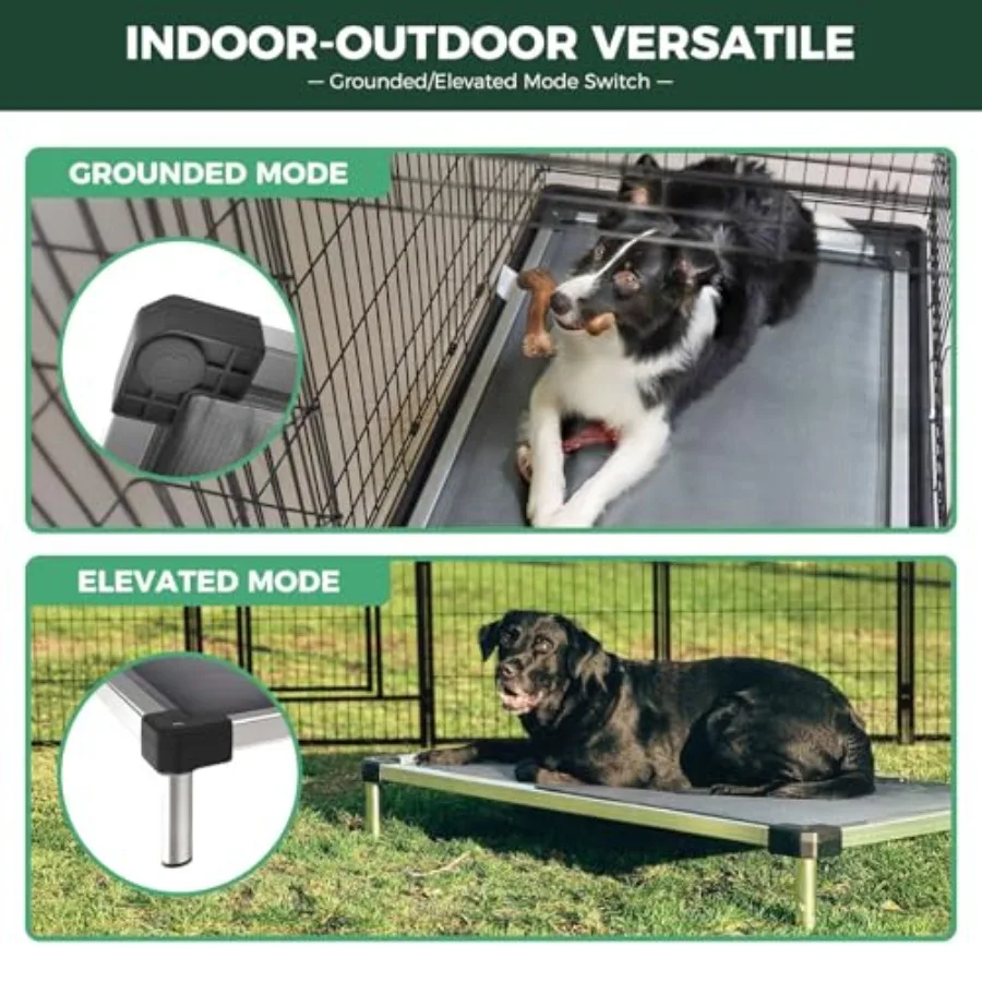 Chew-Proof Elevated Dog Bed 2
