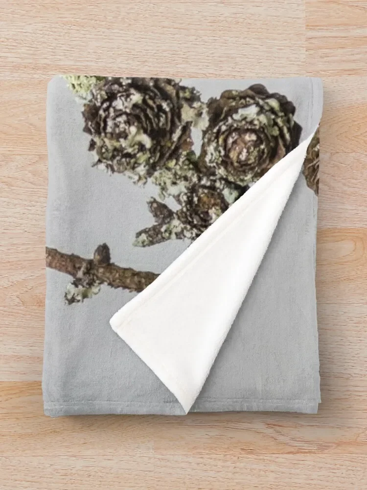 Nuthatch Throw ���, ���� ���� ħ��, ���Ÿ� �����̳� ���