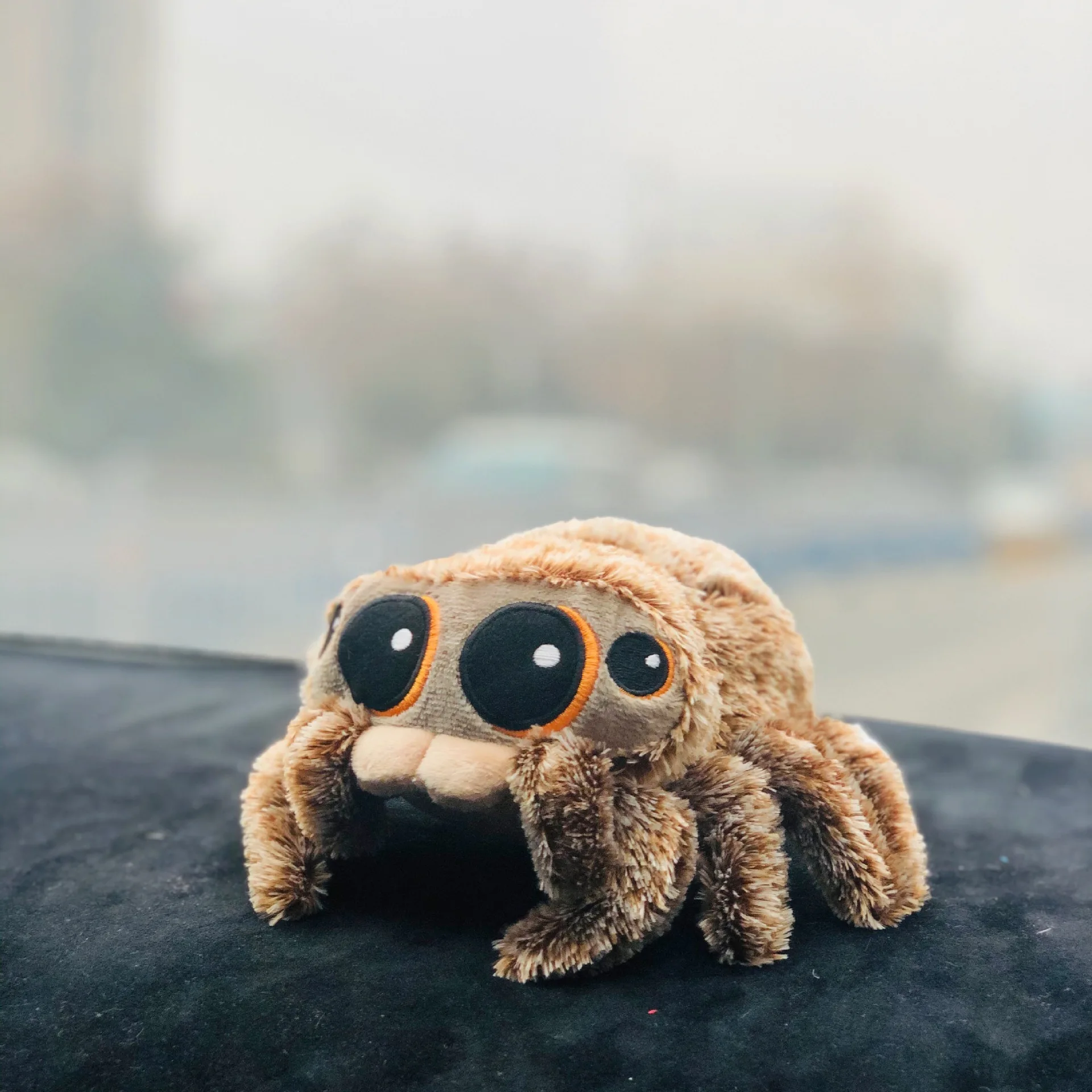 Peluches douces en peluche, jouet araignée noir, petit Lucas, oreiller simulé, poupée, salle de jeux, oreiller décoratif, cadeau pour enfant_voghion.com