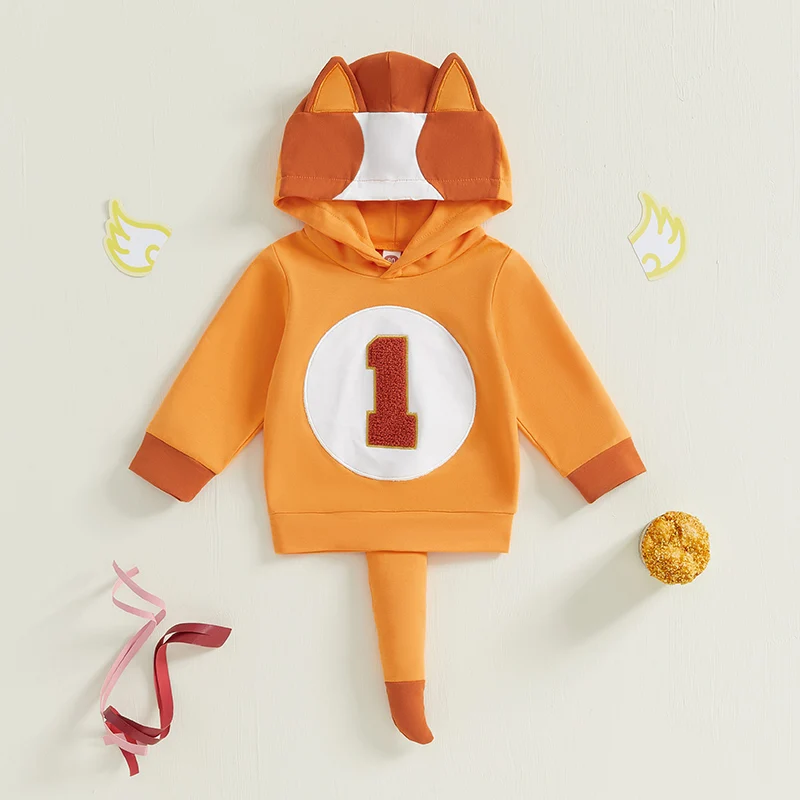 Description Picture 2 of itemToddler Girls Boys Hoodies Birthday Clothes Letter Embroidery Hooded Long Sleeve Baby Sweatshirts Pullovers Fall Tops