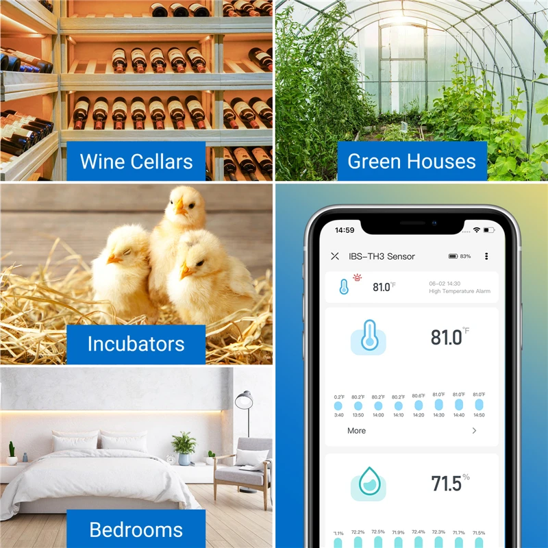 Home & Garden
