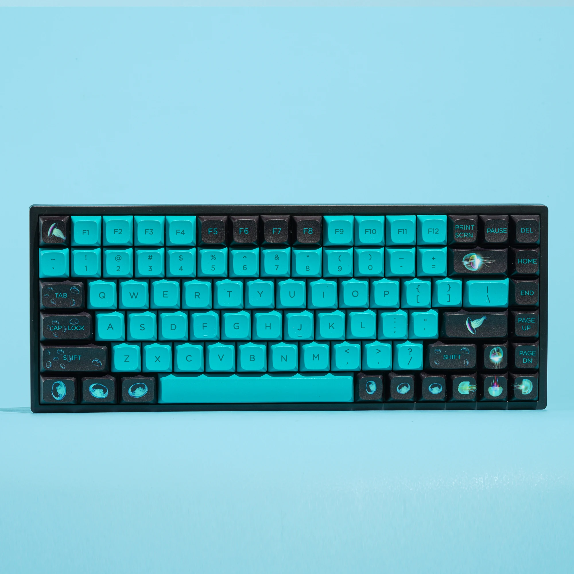 137Key BLUE Mx PBT Shine Through Transparent Backlit Xda Profile