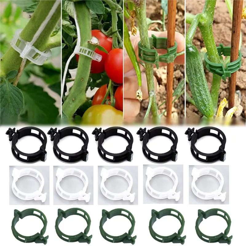Plastic Plant Support Clips Garden Veggie Tomato Ties Trellis Stake Clips Reusable Plant Vine Protection Grafting Fixing Tool