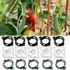 Plastic Plant Support Clips Garden Veggie Tomato Ties Trellis Stake Clips Reusable Plant Vine Protection Grafting Fixing Tool 1