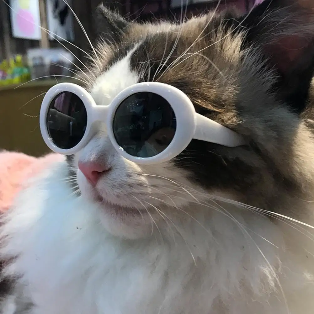 

Pet Eyeglasses Fashion Universal Windproof Cat Small Dog Puppy Eyewear Pet Accessories Pet Glasses Pet Eyewear