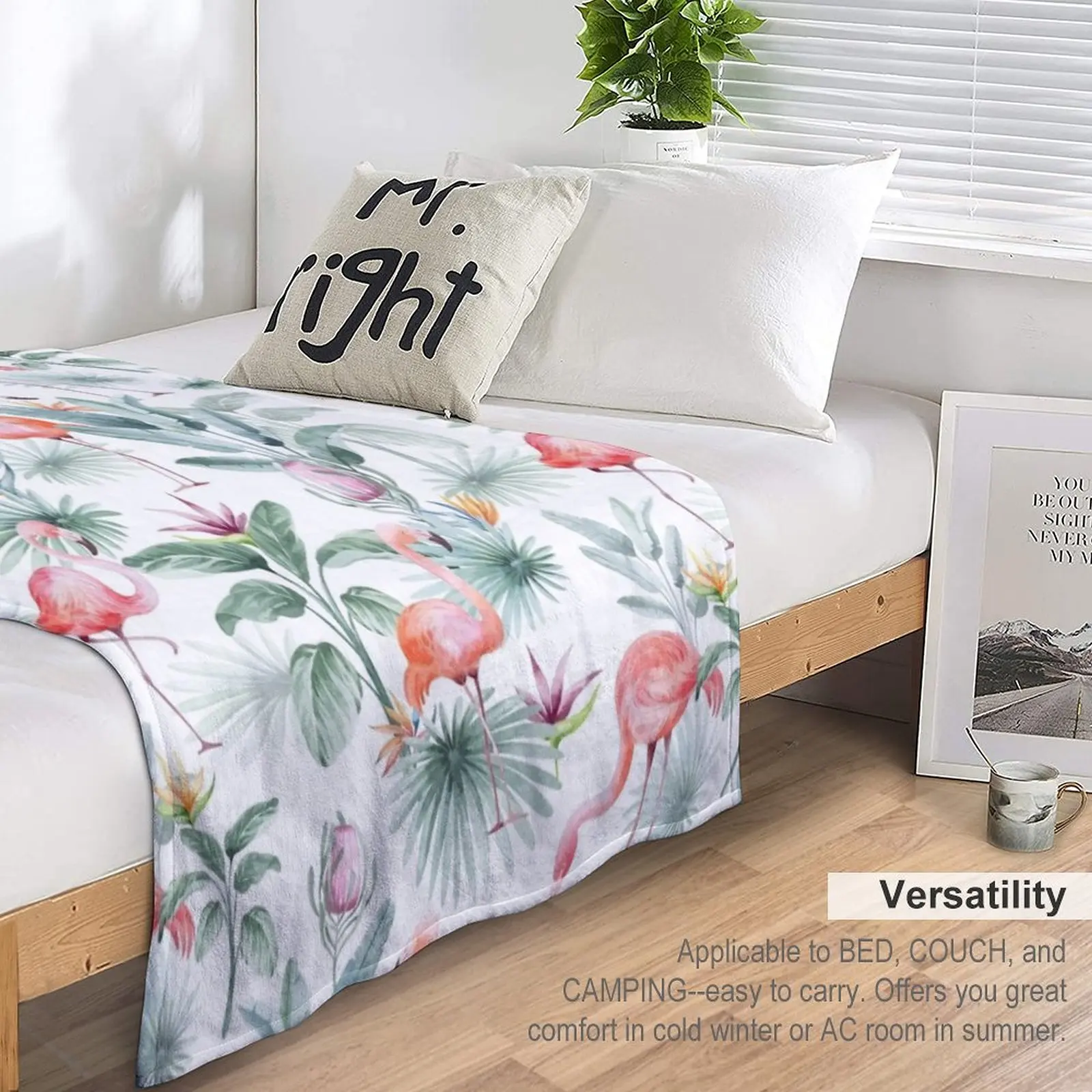 �ö�ְ� ��äȭ ������ ���, �ε巯�� ħ�� �����̳� ���� ���