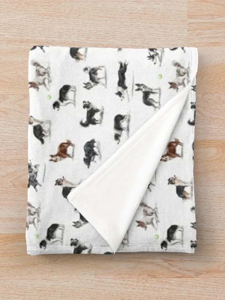 ���� �ݸ� ������ ���, ���ſ� ���� ���, ���� ���� ���