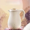 Swan Pot Household Kettle Thermal Insulation Integrated 316L Stainless Steel Internet Box Constant Temperature Electric Kettle 2