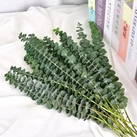 10/36PCS Artificial Eucalyptus Stems Green Leaves Eucalyptus Branches Flower Bouquet Wedding Christmas Decoration Fake Plant 3