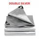 double silver