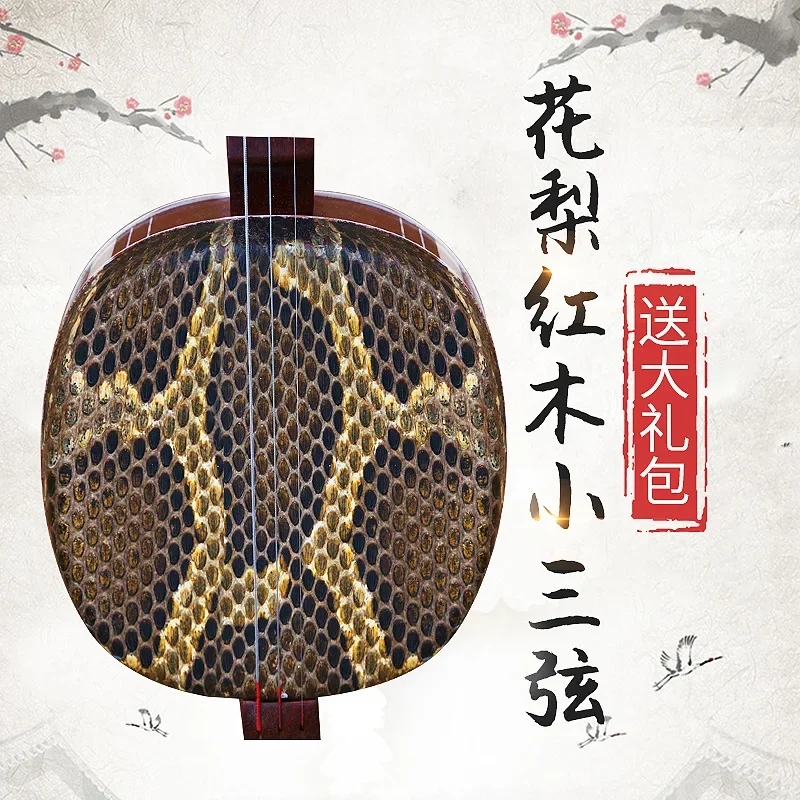 Rosewood Mahogany Small Sanxian Chinese string instrument