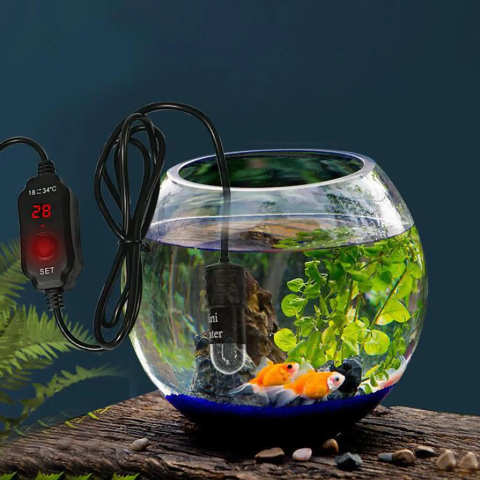 Small Fish Tank Heater 10w Digital Display Adjustable Temperature