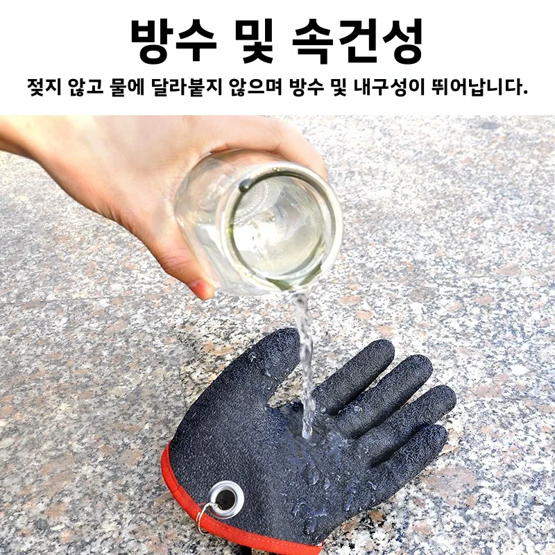  尩    Ƽ     ߿ ķ  Ư  ΰŸ 尩