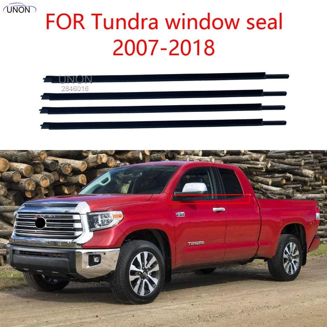 Tundra Seal