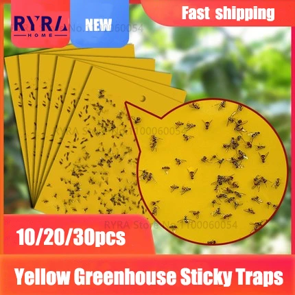 3 Pack Fruit Fly Traps for Indoors with 30PCS Fruit Fly Sticky Traps and 6  Baits
