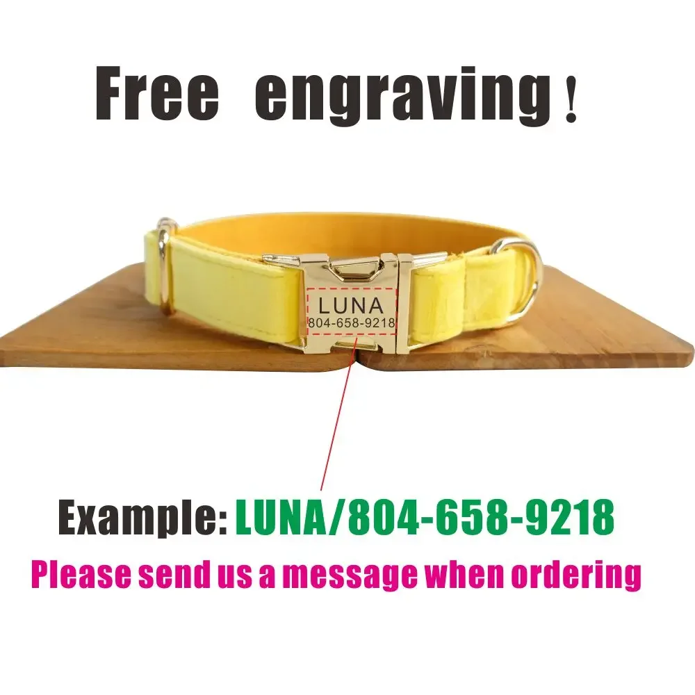 Dog Collar With Free Engraving ID Name Tag